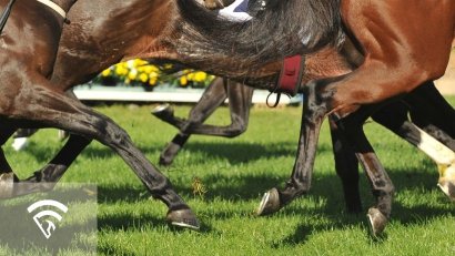 What Is an Inner Turf Course?