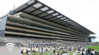 What is the Japan Cup?