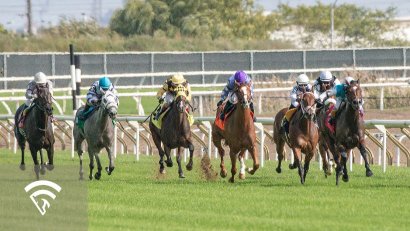 What Is Regression to the Mean in Horse Racing?