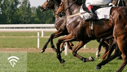 What Is a Quarter Crack in a Racehorse?