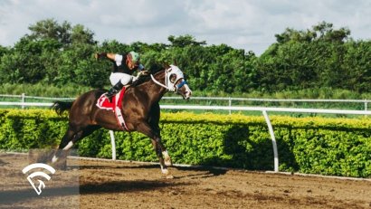 What Is a Mandatory Payout in Horse Racing?