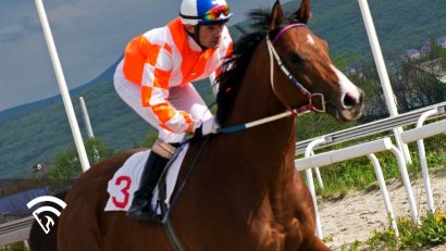 Betting Basics