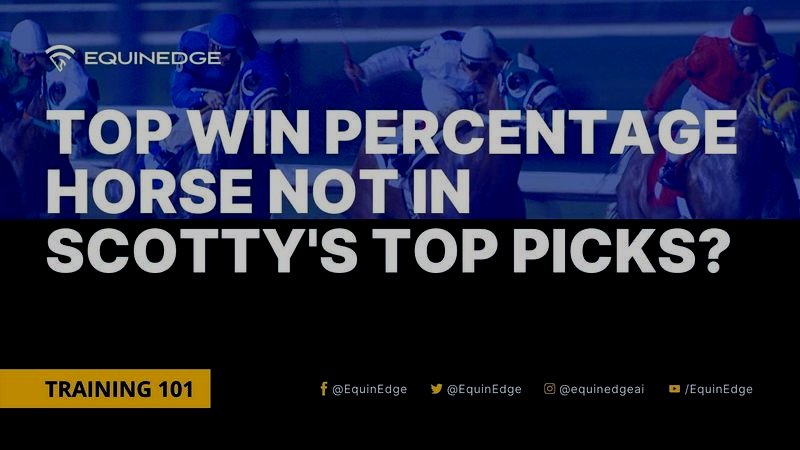 Top Win Percentage Horse Not in Scotty's Top Picks?