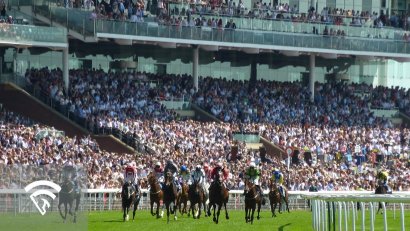 Media, Broadcasting and Fan Experience