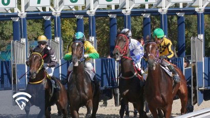 What Is Implied Probability in Horse Racing Odds?