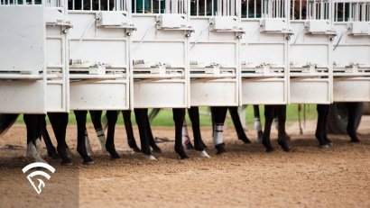 What Is a Wagering Rebate Program?