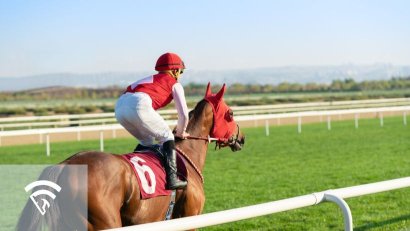 Horse Health and Physiology