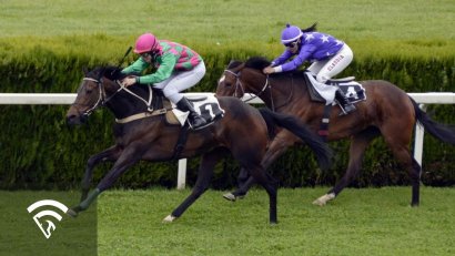 What Is Strike Rate in Horse Racing Betting?