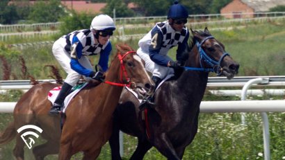 What is a Horseplayer's Notebook?
