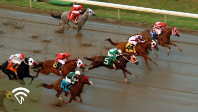 What is Track Condition in Horse Racing?