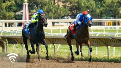 What Do Pinned Ears Mean in a Racehorse?