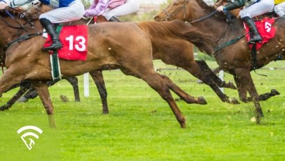 What is Anhidrosis in Racehorses?