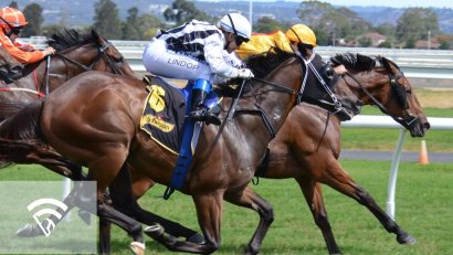 What Are Training Expenses in a Racing Partnership?