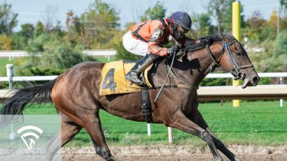 What is the Backstretch?