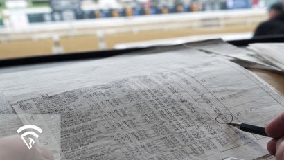 What is a Brisnet Speed Figure?