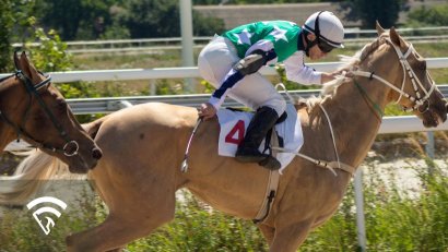 What is a Bounce-Back Horse?