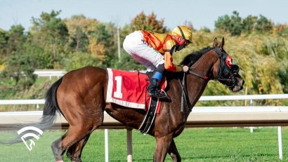What are Listed (or Black-Type) Races?