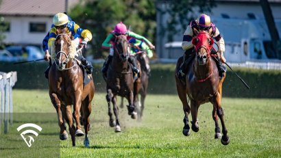 What Is Sample Size in Horse Racing Analysis?