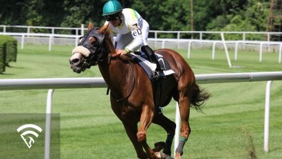 What Are Form Signals in Horse Racing?