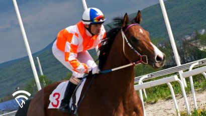 What is a Bookmaker in Horse Racing?