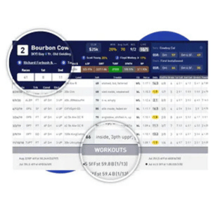 Close-up screenshot of the HandiView (Past Performance) metric within EquinEdge