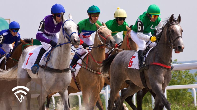 Horses galloping