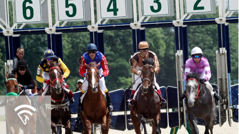 Horses taking off from the starting gate