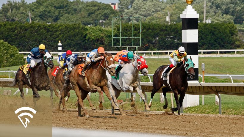 Horse racing representing a trip in horse racing