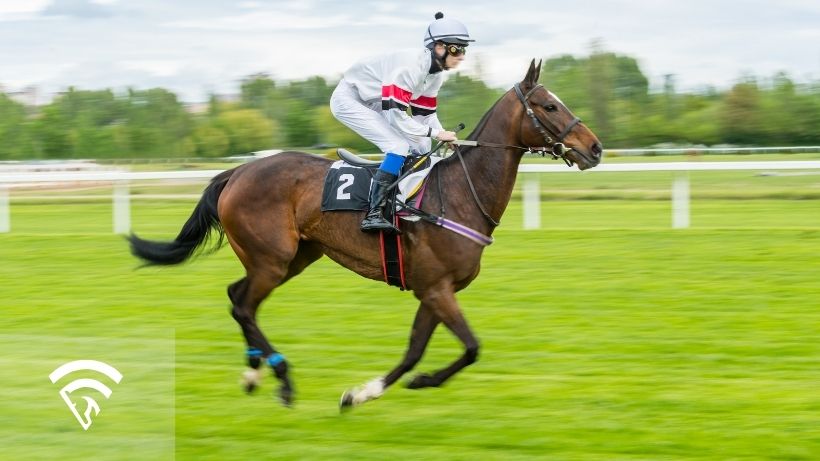 Horse race with an outrider