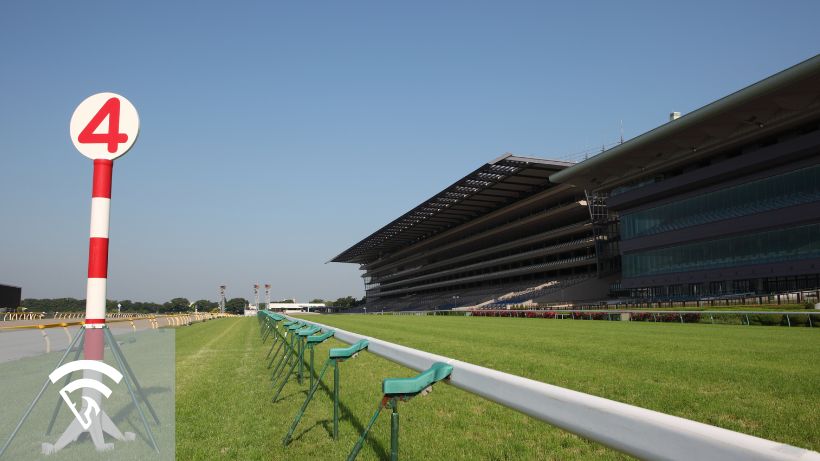 Horse racing track and stadium