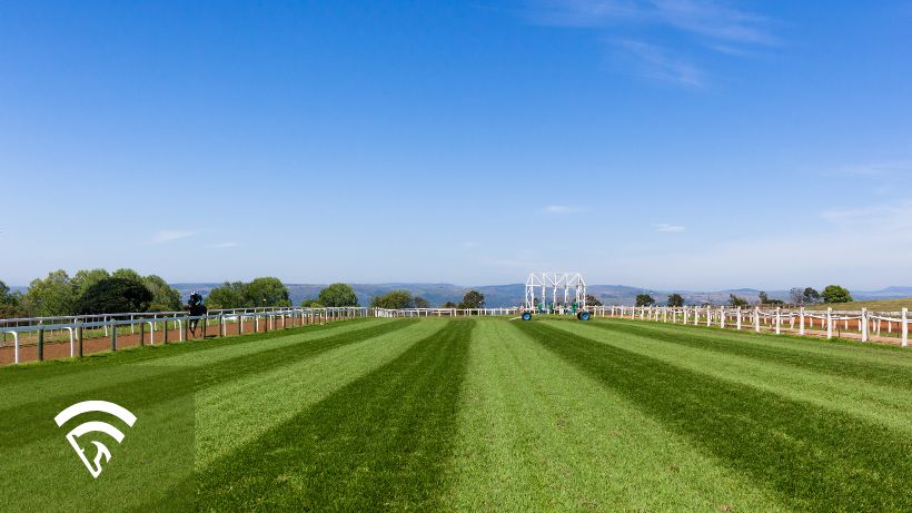 A grass track for horse racing