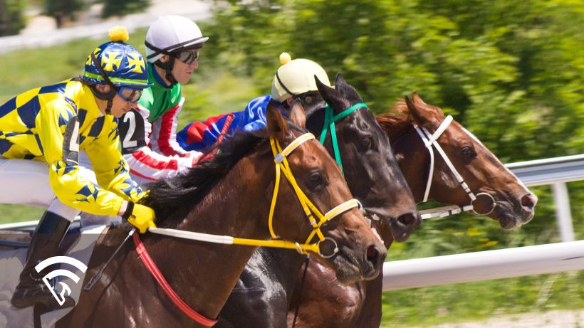 Profile view of 3 horses and jockeys racing