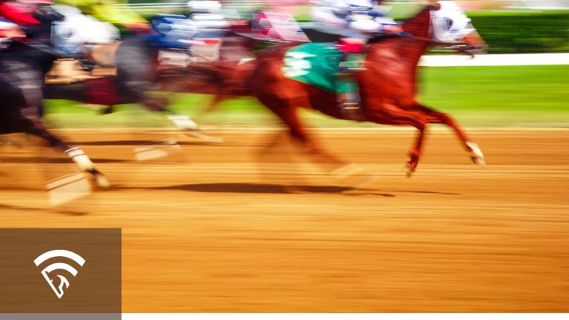 Horses and jockeys racing