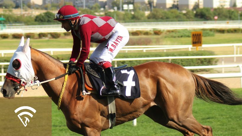 Profile view of jockey on a horse