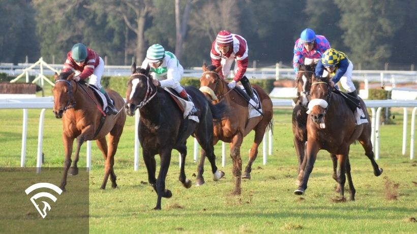 Horses racing representing the topic of bankroll staking strategy in pari-mutuel pools
