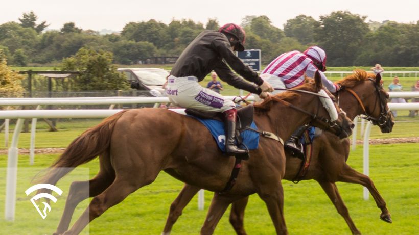 Horses racing representing the topic of a betting exchange in horse racing