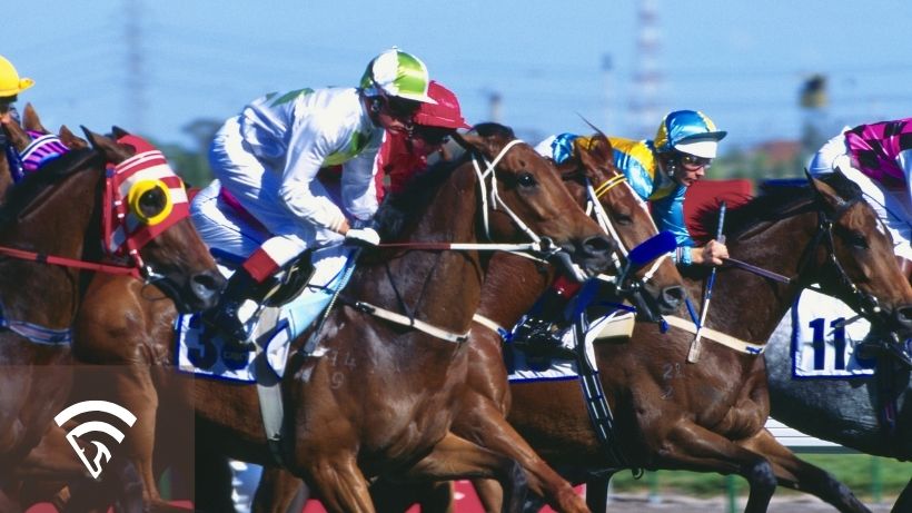 Horse racing with a jockey representing the topic of a carryover in horse race betting