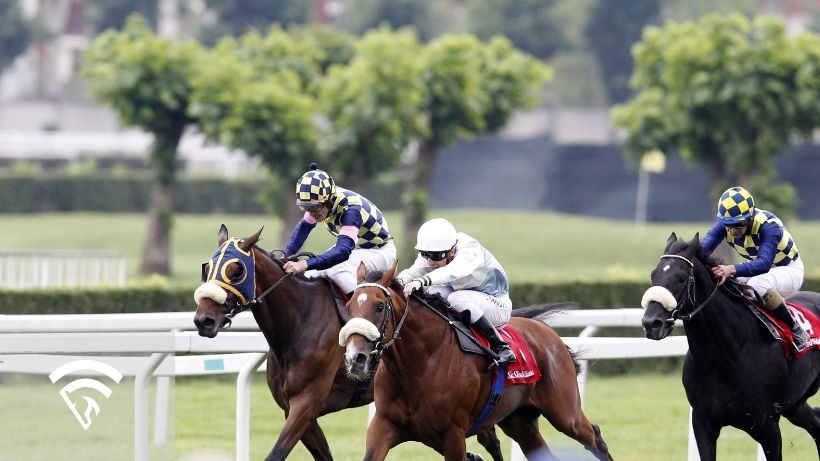 Horses racing representing the topic of a favorite in horse racing
