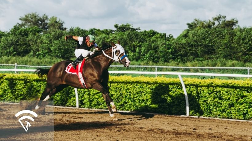 Horse with jockey representing the topic of a mandatory payout in horse racing