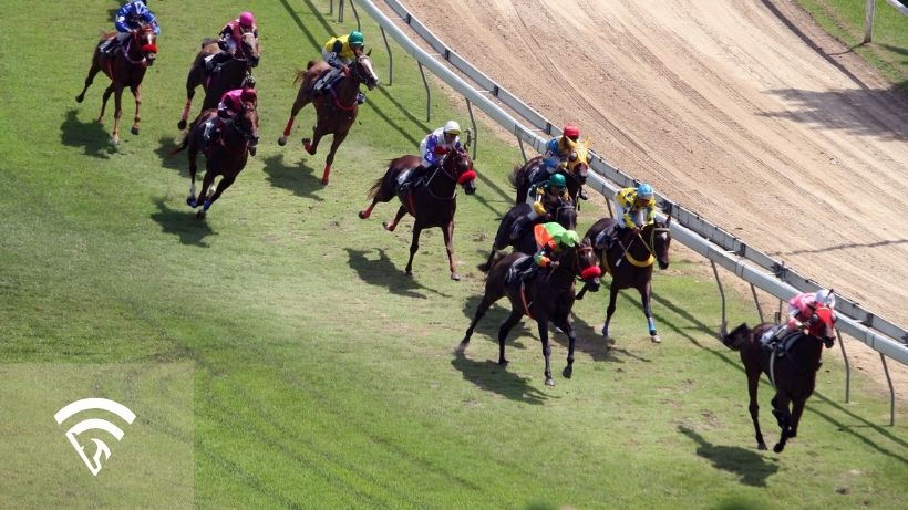Horses racing around a track representing the topic of a win pool in horse racing