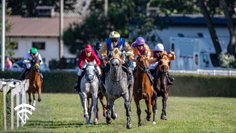 Horses racing representing the topic of odds-on favorite in horse racing