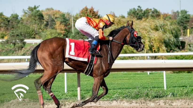 Horse and jockey racing representing the topic of breakage in pari-mutuel betting