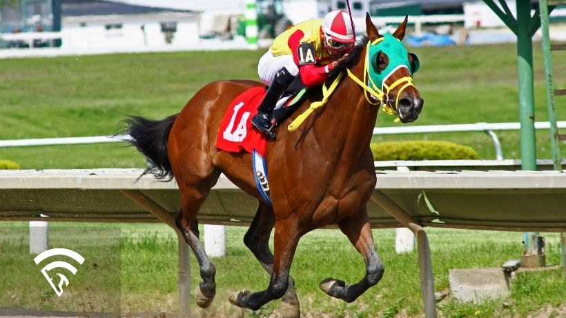 Jockey on horse racing representing the topic of computer assisted wagering (CAW)