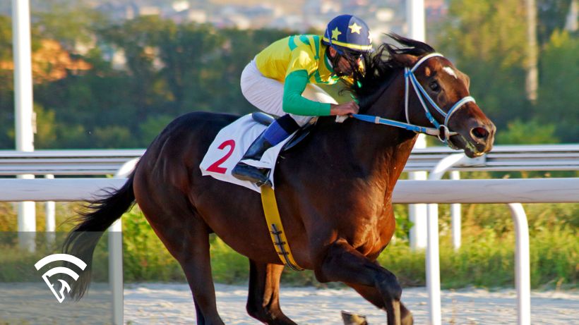 Horse and jockey racing representing the topic of vigorish in horse race betting