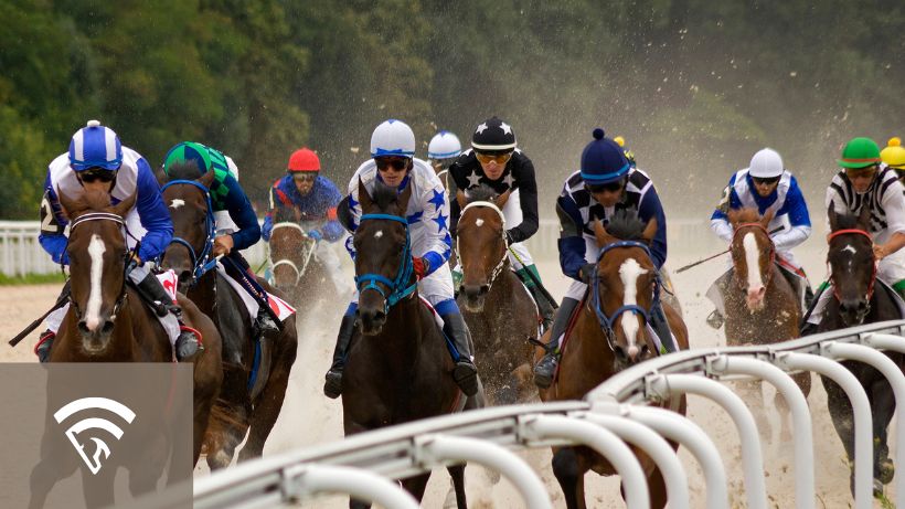 Several horses with jockeys racing