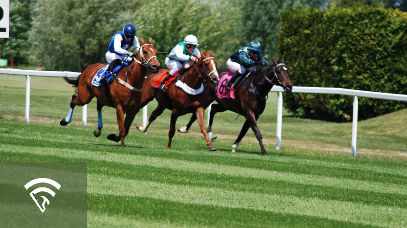 Horses with jockeys racing