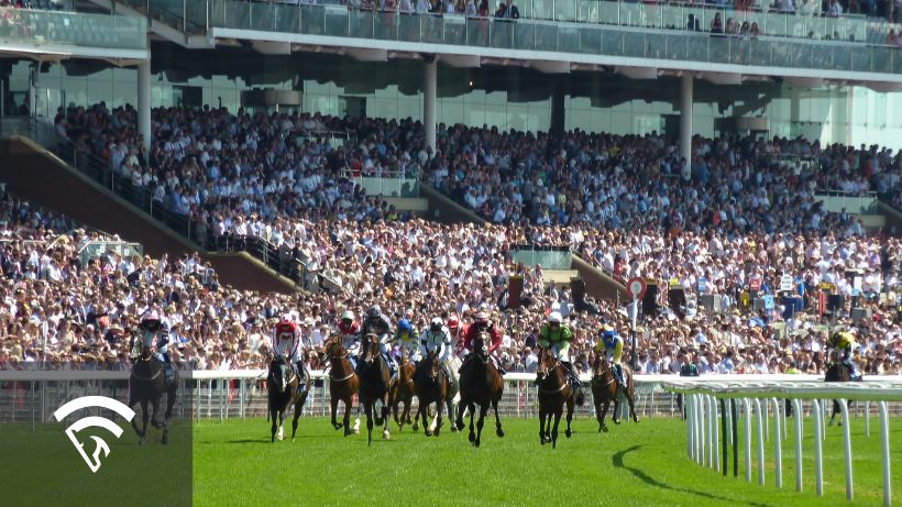 Horses racing on a turf track