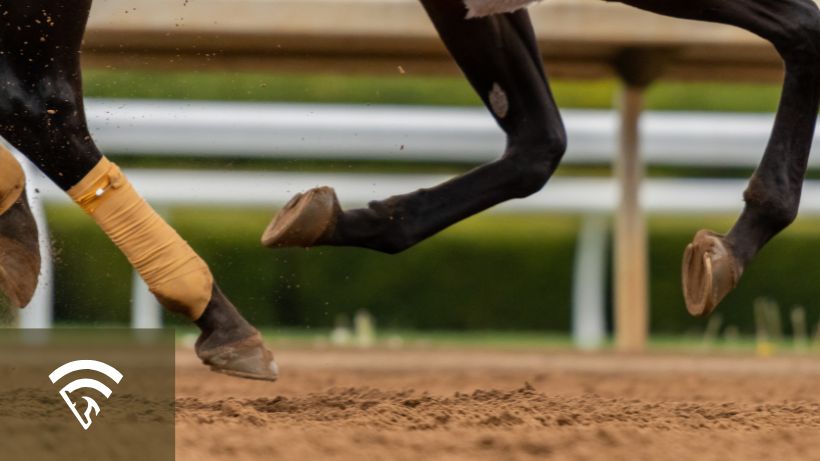 Close up view of a dirt horse racing track