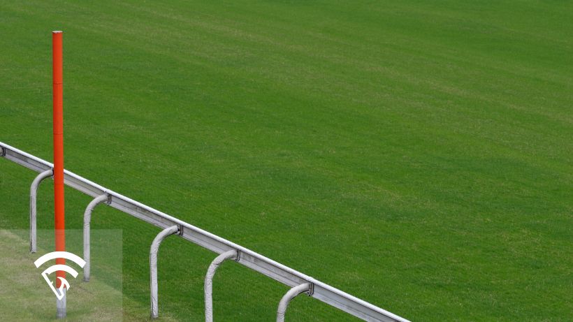 Close up photo of a downhill turf horse racing course