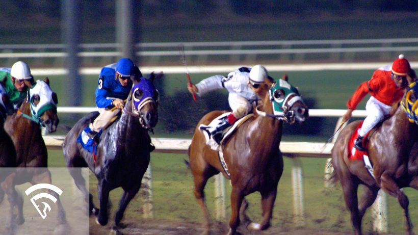 Close up of horses racing representing a marathon race in horse racing